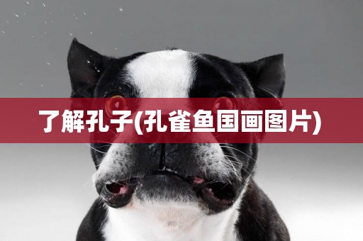 了解孔子(孔雀魚國畫圖片) 