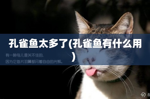 孔雀魚太多了(孔雀魚有什么用) 
