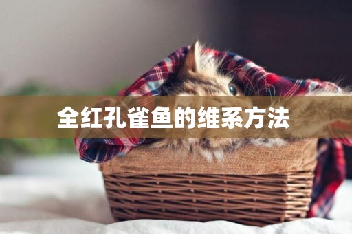 全紅孔雀魚的維系方法 