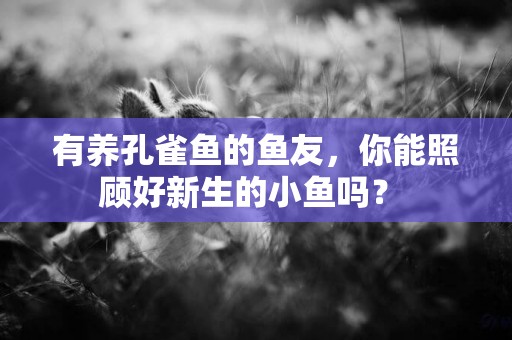 有養孔雀魚的魚友，你能照顧好新生的小魚嗎？ 