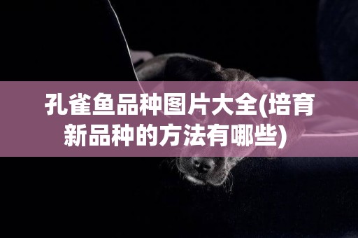 孔雀魚品種圖片大全(培育新品種的方法有哪些) 