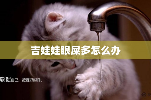 吉娃娃眼屎多怎么辦