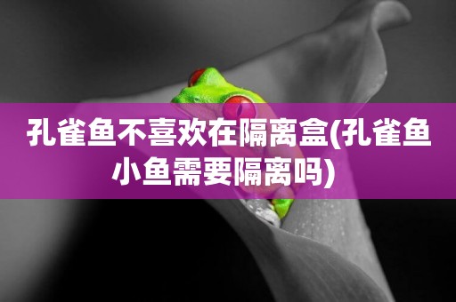 孔雀魚不喜歡在隔離盒(孔雀魚小魚需要隔離嗎) 