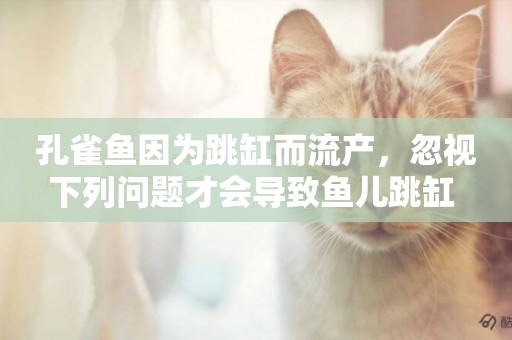 孔雀魚因為跳缸而流產，忽視下列問題才會導致魚兒跳缸 