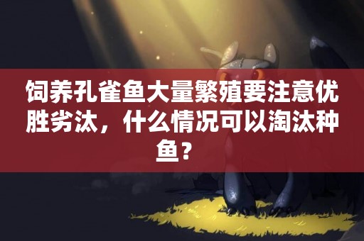 飼養孔雀魚大量繁殖要注意優勝劣汰，什么情況可以淘汰種魚？ 