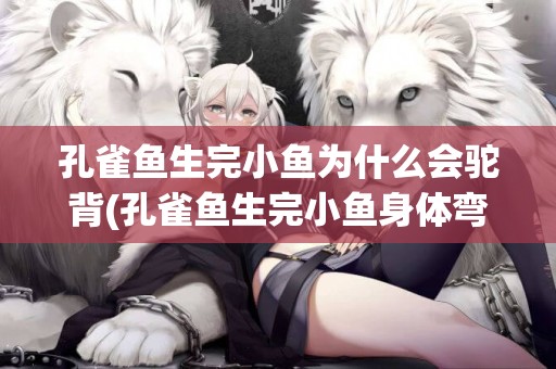 孔雀魚生完小魚為什么會駝背(孔雀魚生完小魚身體彎曲) 