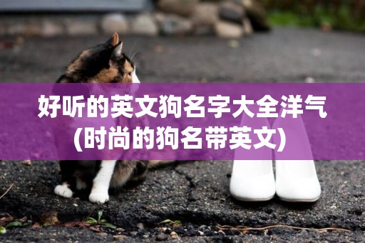好聽的英文狗名字大全洋氣(時尚的狗名帶英文) 