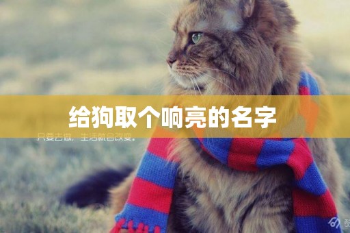給狗取個響亮的名字 