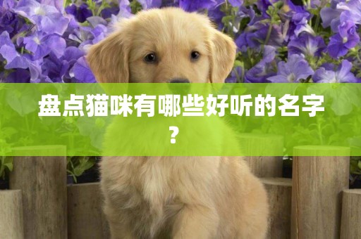盤點貓咪有哪些好聽的名字？ 