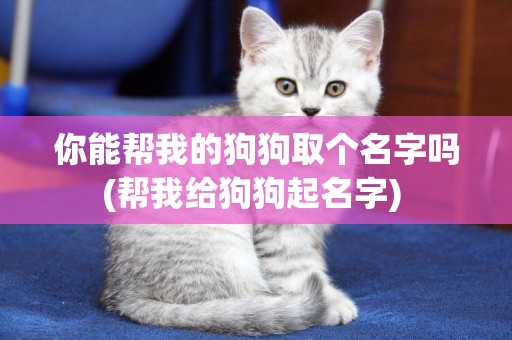 你能幫我的狗狗取個名字嗎(幫我給狗狗起名字) 
