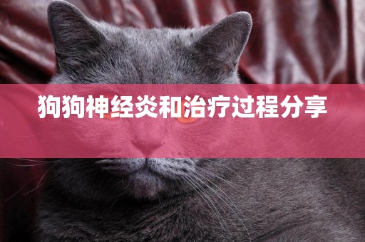 狗狗神經炎和治療過程分享 