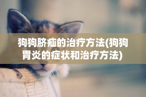 狗狗臍疝的治療方法(狗狗胃炎的癥狀和治療方法) 