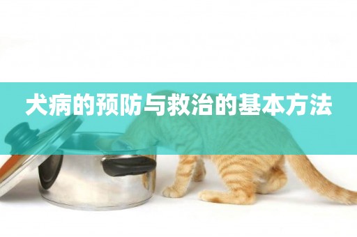 犬病的預防與救治的基本方法 