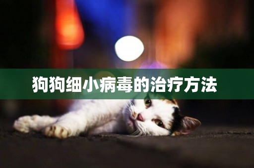 狗狗細小病毒的治療方法 