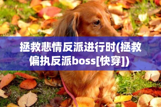 拯救悲情反派進行時(拯救偏執反派boss[快穿]) 