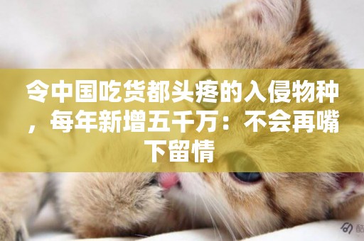 令中國吃貨都頭疼的入侵物種，每年新增五千萬：不會再嘴下留情 