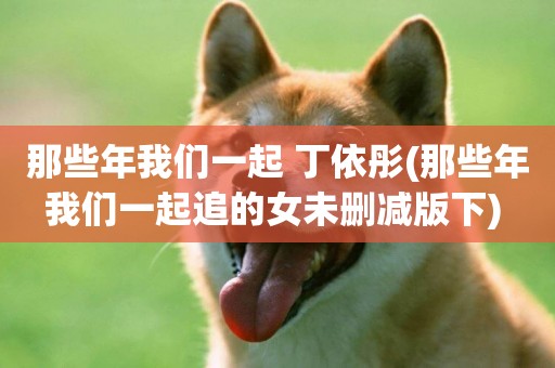 那些年我們一起 丁依彤(那些年我們一起追的女未刪減版下) 