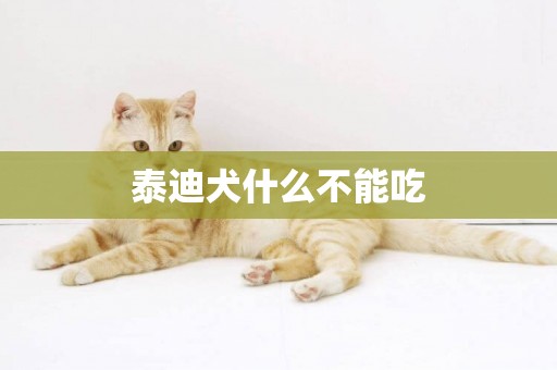 泰迪犬什么不能吃