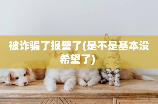 被詐騙了報警了(是不是基本沒希望了) 