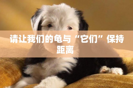 請讓我們的龜與“它們”保持距離 