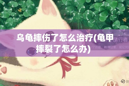烏龜摔傷了怎么治療(龜甲摔裂了怎么辦) 