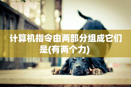 計算機指令由兩部分組成它們是(有兩個力) 