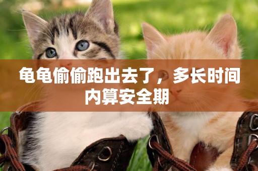 龜龜偷偷跑出去了，多長時間內算安全期 
