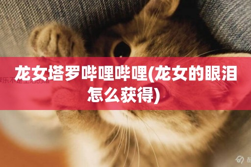 龍女塔羅嗶哩嗶哩(龍女的眼淚怎么獲得) 