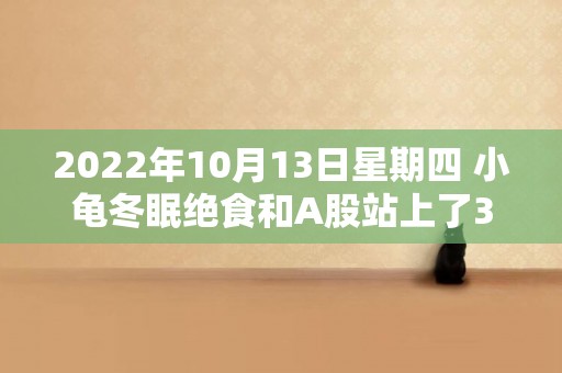 2022年10月13日星期四 小龜冬眠絕食和A股站上了3000點 