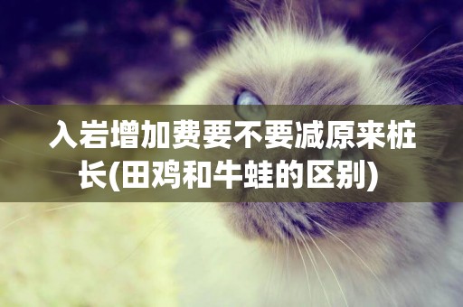 入巖增加費要不要減原來樁長(田雞和牛蛙的區別) 