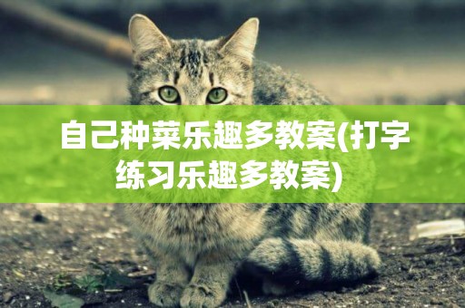 自己種菜樂趣多教案(打字練習樂趣多教案) 