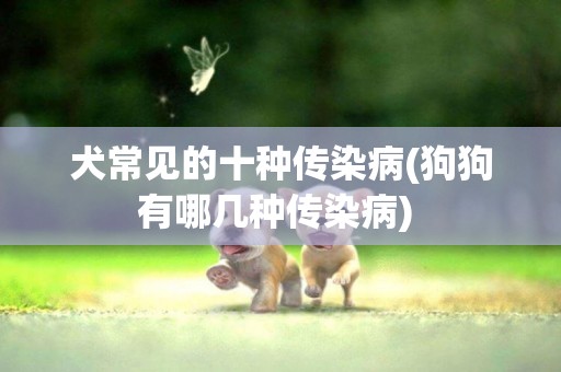 犬常見的十種傳染病(狗狗有哪幾種傳染病) 