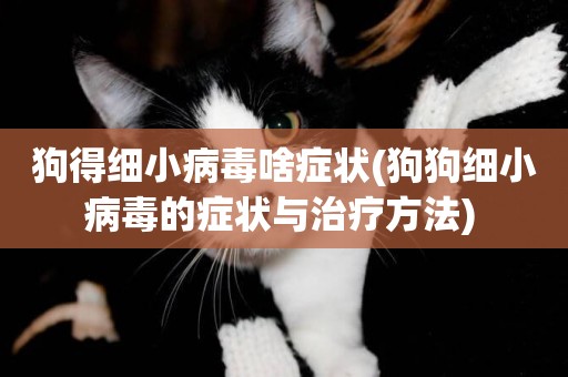 狗得細小病毒啥癥狀(狗狗細小病毒的癥狀與治療方法) 