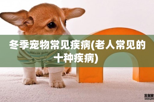 冬季寵物常見疾病(老人常見的十種疾病) 