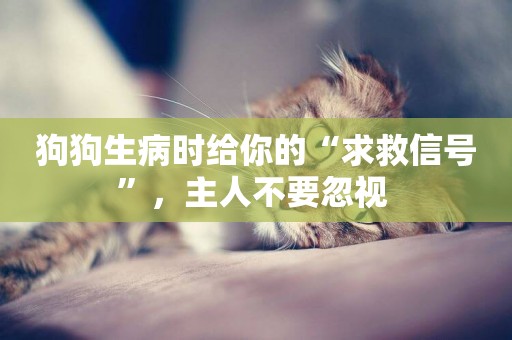狗狗生病時給你的“求救信號”，主人不要忽視 