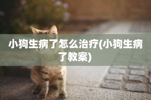 小狗生病了怎么治療(小狗生病了教案) 