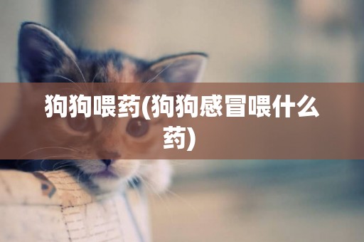 狗狗喂藥(狗狗感冒喂什么藥) 
