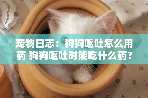 寵物日志：狗狗嘔吐怎么用藥 狗狗嘔吐時能吃什么藥？ 