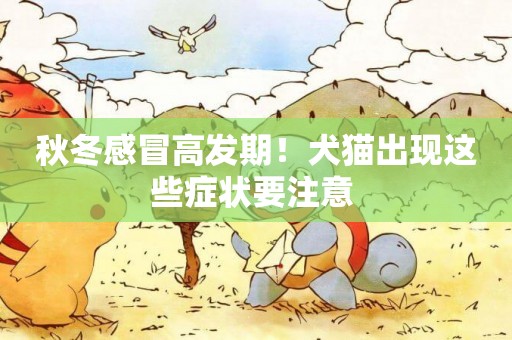秋冬感冒高發期！犬貓出現這些癥狀要注意 
