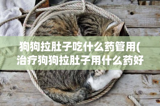 狗狗拉肚子吃什么藥管用(治療狗狗拉肚子用什么藥好) 