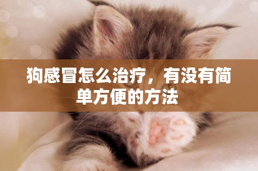 狗感冒怎么治療，有沒有簡單方便的方法 
