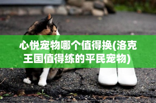 心悅寵物哪個值得換(洛克王國值得練的平民寵物) 