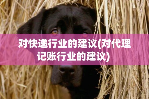 對快遞行業的建議(對代理記賬行業的建議) 