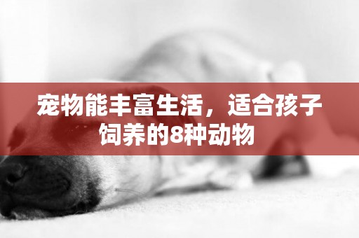 寵物能豐富生活，適合孩子飼養的8種動物 