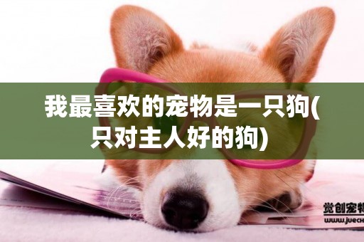 我最喜歡的寵物是一只狗(只對主人好的狗) 