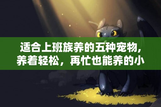 適合上班族養的五種寵物,養著輕松，再忙也能養的小可愛 