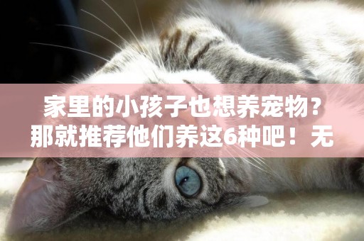 家里的小孩子也想養寵物？那就推薦他們養這6種吧！無害還易養！ 
