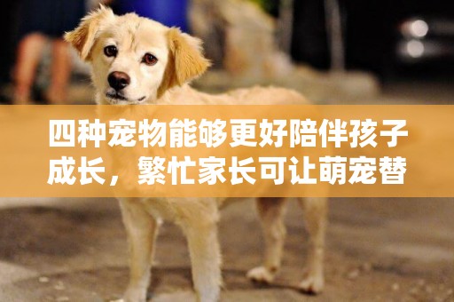 四種寵物能夠更好陪伴孩子成長，繁忙家長可讓萌寵替代其職能 
