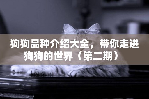 狗狗品種介紹大全，帶你走進狗狗的世界（第二期） 