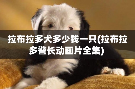 拉布拉多犬多少錢一只(拉布拉多警長動畫片全集) 
